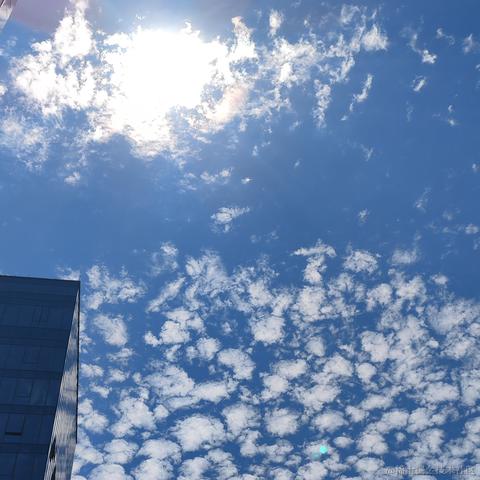 沅芷湘兰于2022-08-12 09:48发布的图片