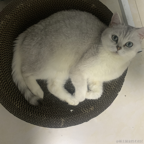 用户5832511041996于2023-02-09 02:22发布的图片