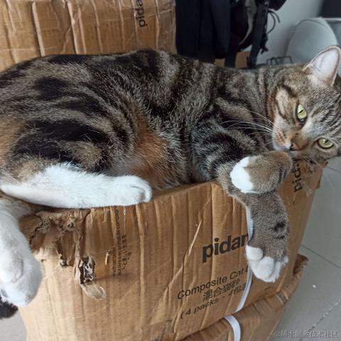 秋风又红香山梯于2021-10-29 11:19发布的图片