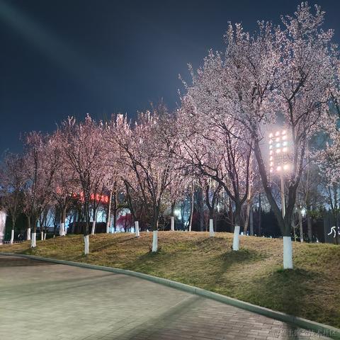 树洞robot于2023-03-16 21:27发布的图片