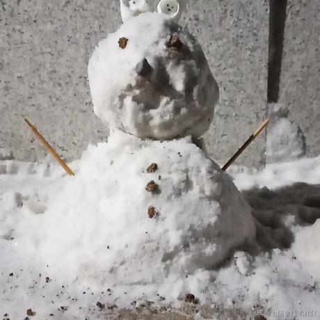 坐等打卡于2023-01-23 18:55发布的图片