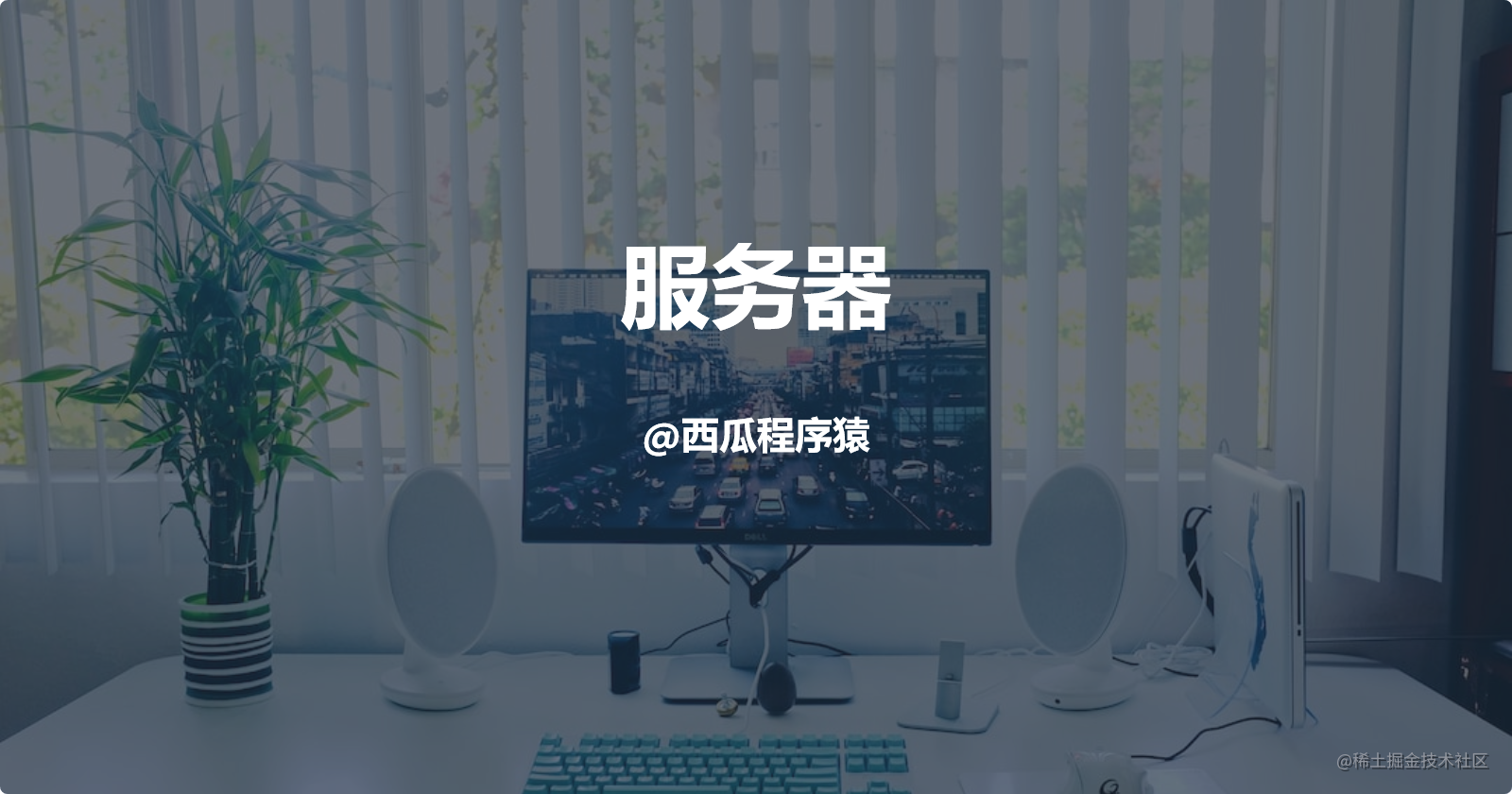 服务器