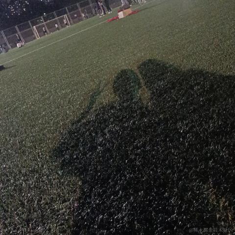 白色小甜羊于2023-04-18 21:42发布的图片