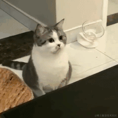 小兔子怎么听得懂这些呢于2022-12-04 08:33发布的图片