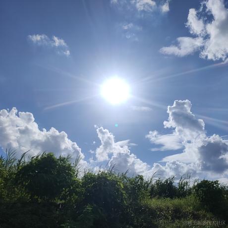 hoppou于2023-07-04 14:31发布的图片