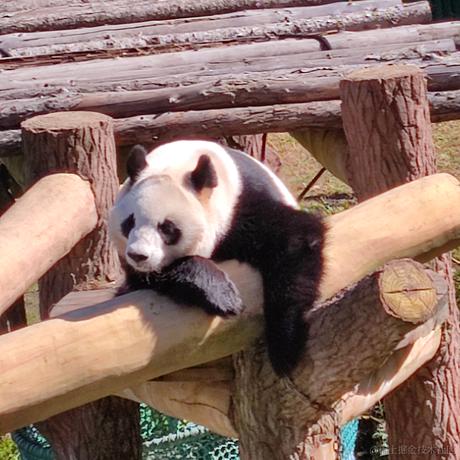槑啊于2022-10-06 23:34发布的图片