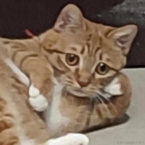 jayjay于2022-03-18 14:03发布的图片