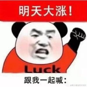 头脑发热于2023-08-31 16:53发布的图片