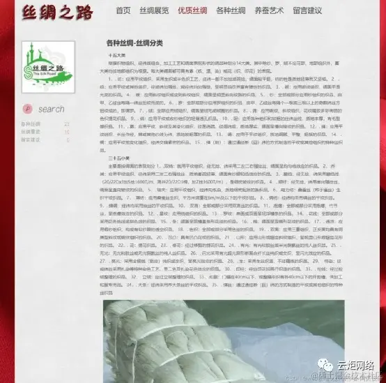 丝绸之路 (6页) 简单个人网页设计作业_3_Chat GPT云炬学长_来自小红书网页版.jpg