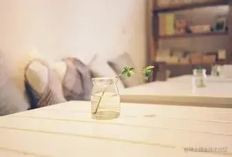 前端web