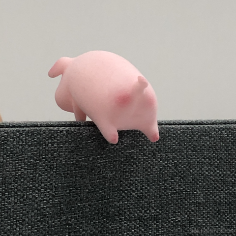 冰菓_iscream于2021-05-21 11:56发布的图片