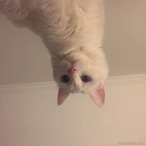 路有冻死狗于2021-10-27 19:03发布的图片