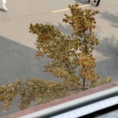 羙橘于2022-10-25 18:18发布的图片