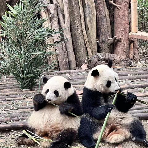 没有哆啦的A梦于2023-03-17 09:46发布的图片