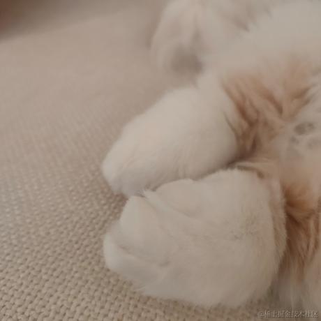 贝拉拉是我的超人于2022-11-10 09:01发布的图片