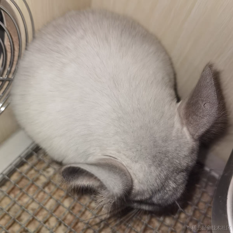 albri于2022-11-22 15:38发布的图片