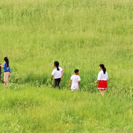 苏玖玖于2022-12-05 13:03发布的图片