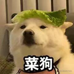 电机