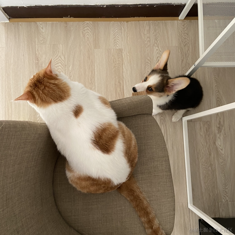 爱吃涮羊肉的Bug开发于2021-10-15 16:26发布的图片