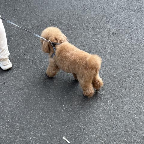 那我关月亮咯于2023-06-27 13:55发布的图片