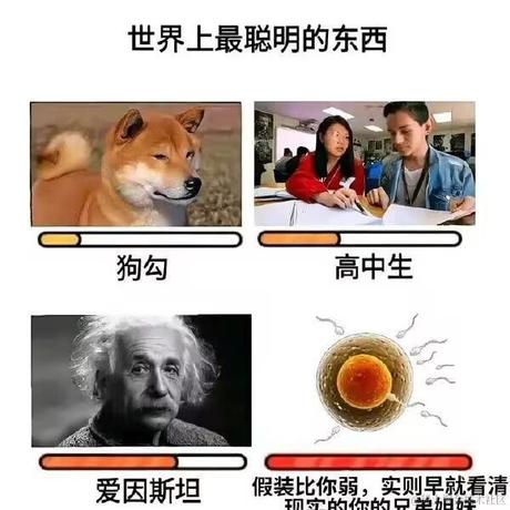 啥也不是哦于2022-12-24 17:25发布的图片