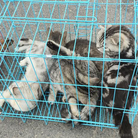 琳琳0905于2023-07-12 07:10发布的图片