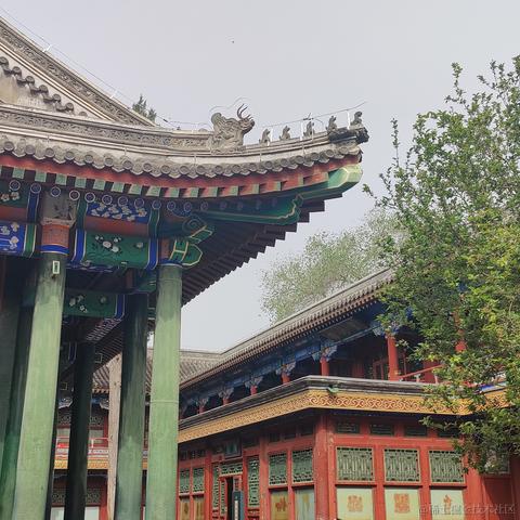 bysking于2023-05-05 13:36发布的图片