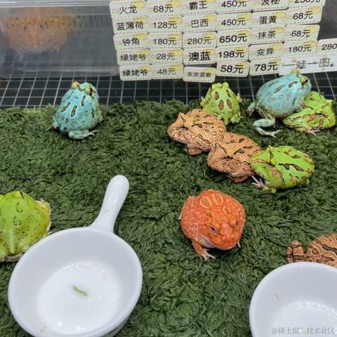 蹄蹄于2022-11-17 11:49发布的图片