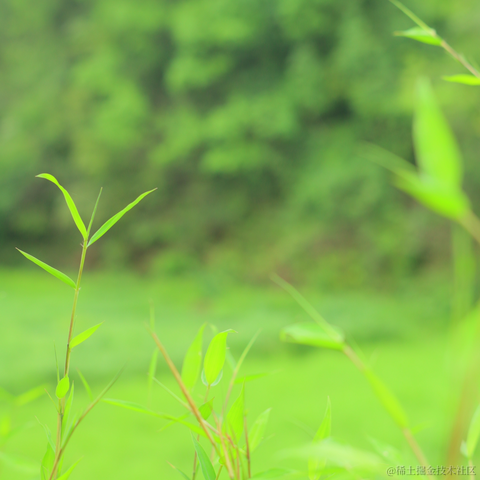 红毛丹于2022-05-02 17:57发布的图片