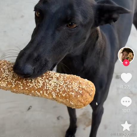 蒂骑于2022-11-23 20:05发布的图片