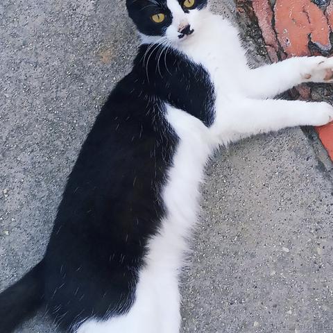 晚里只有鱼于2023-06-21 20:06发布的图片