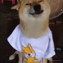 狗00037-得意.gif