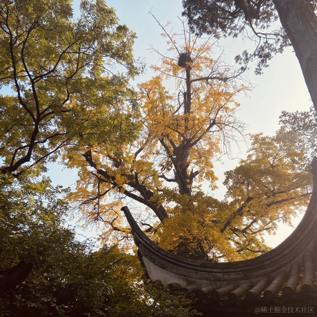 送外卖的程序员于2022-11-26 22:21发布的图片