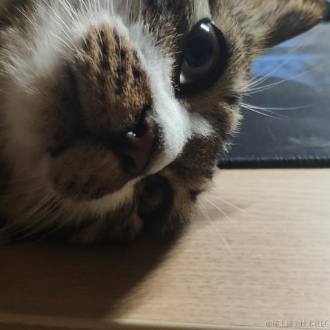 KuuBee于2020-08-11 13:40发布的图片