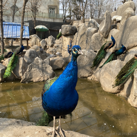 懒懒de开心于2023-03-22 20:20发布的图片