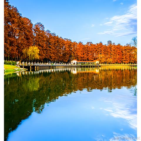 光影童于2024-01-10 09:51发布的图片