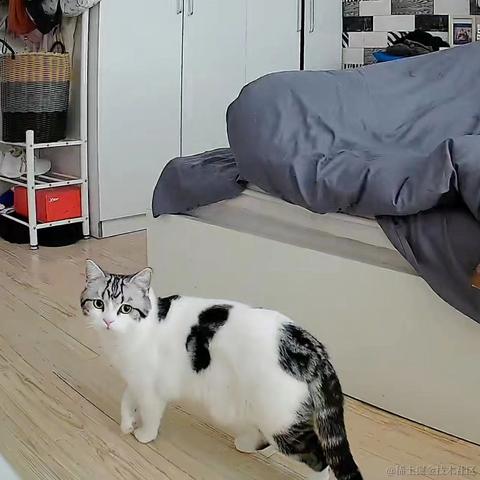 程序猿秃头之路于2021-12-22 15:34发布的图片