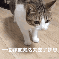 路过的奶淇琳于2022-12-15 16:47发布的图片