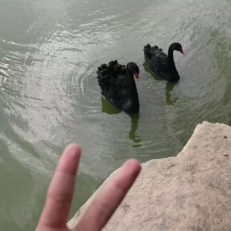 吴涛涛于2023-05-21 10:30发布的图片