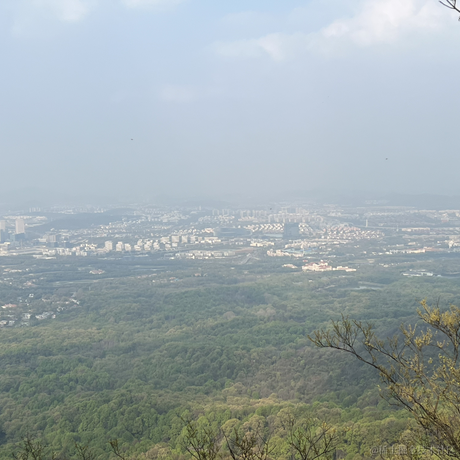 lrain想进大厂于2023-04-03 13:47发布的图片