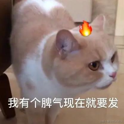 木讷的树a于2023-08-31 14:20发布的图片