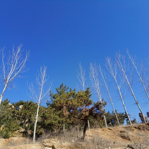 你好我就要起飞了于2021-09-14 10:45发布的图片