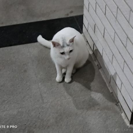 今曦何兮于2022-11-11 21:56发布的图片