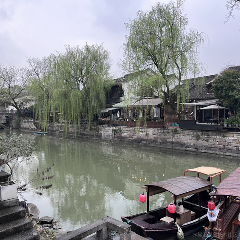 浅若晴空于2023-03-16 15:05发布的图片