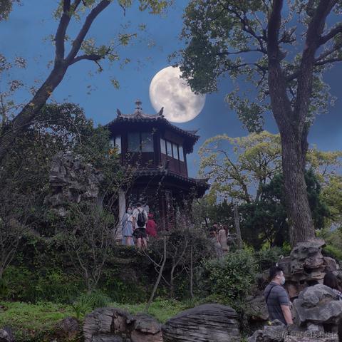 996在逃程序员于2020-10-03 16:57发布的图片