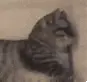 640.gif