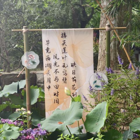 呆头飞鸟于2024-06-09 18:12发布的图片