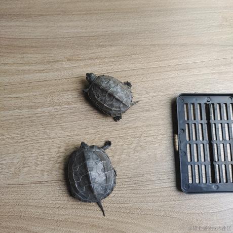 阿旭是大腿于2022-11-11 11:02发布的图片