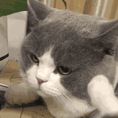 Python之父廖雪峰于2020-12-31 17:03发布的图片